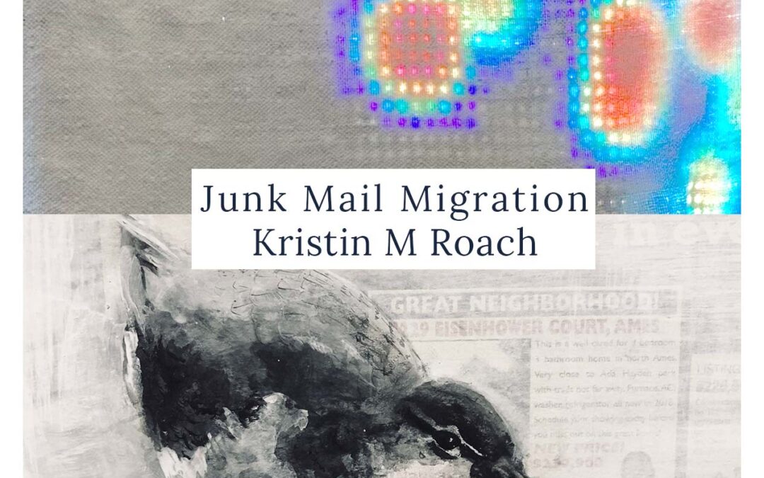 Junk Mail Migration: New Art Works by Kristin M Roach