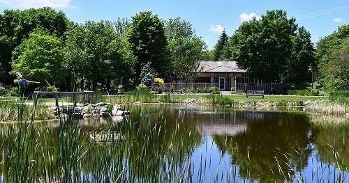 Nature at Noon: The Iowa Arboretum and Gardens  – Reiman Gardens