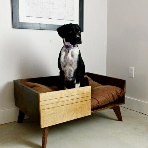 Dog Bed Woodshed Class with John Burright – The Workspace