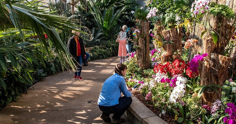 Painting in the Conservatory – Reiman Gardens