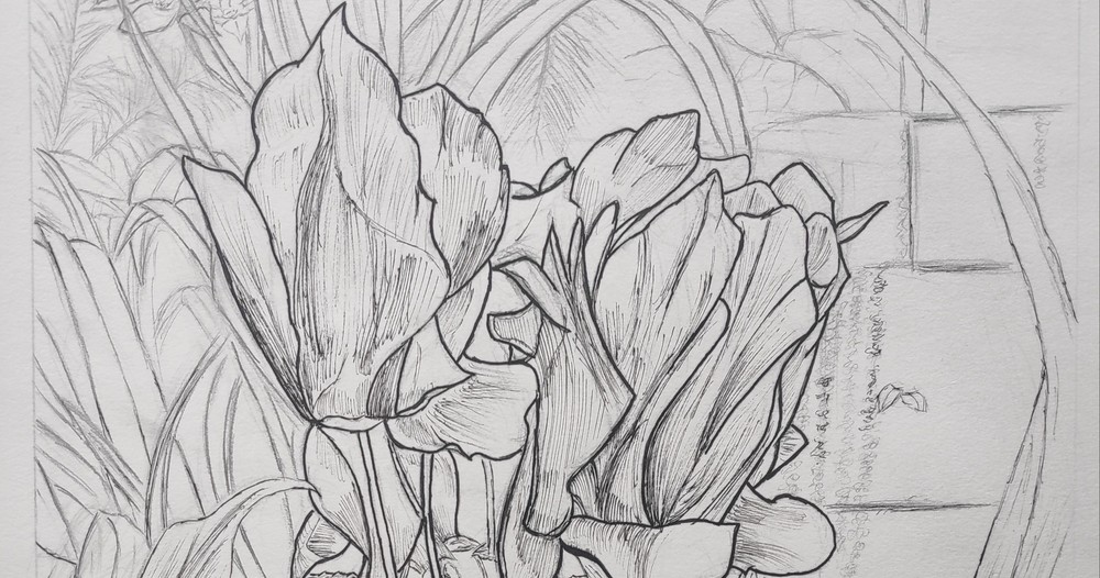 Drawing in the Conservatory – Reiman Gardens