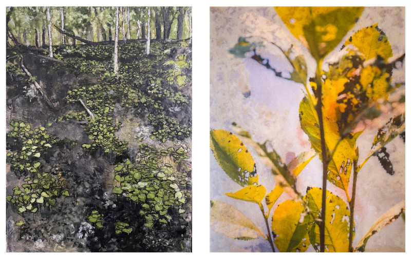 Art Exhibit: Rachel Deutmeyer & Barbara Walton: Reception – Memorial Union Art Gallery