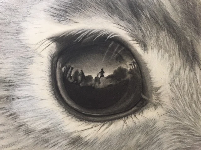 Realistic Animals in Charcoal, Ages 12- Adult – Octagon Center for the Arts